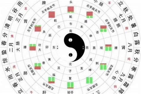 怎样看八字|如何解析八字 看八字基本步骤详解